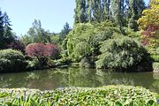 34 - Butchard Gardens  - IMG_1613